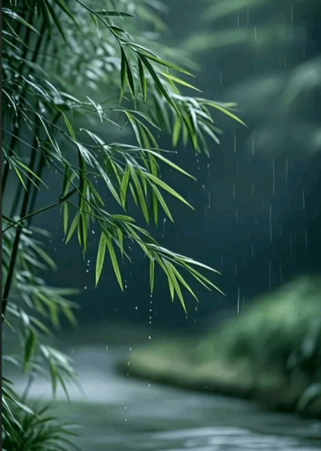 Rain and Thunder cover art - Rain for better rest and relaxation